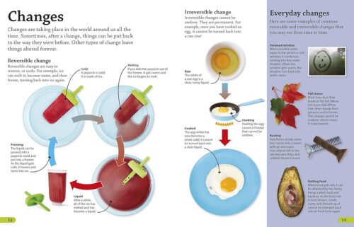 DK- findout! Science - Image 2
