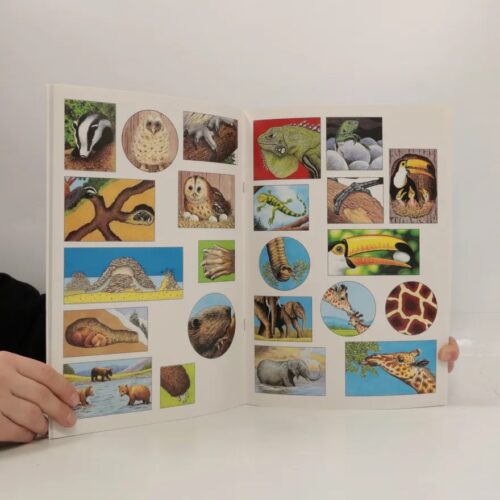 Animal World (Info Stickers) Paperback - Image 3