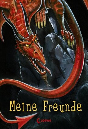 Meine Freunde: Drache Hardcover