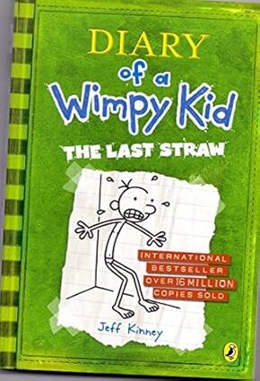 Diary of a Wimpy Kid 3