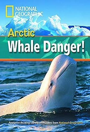Artic Whale Danger!