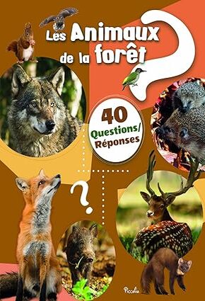 Les animaux de la forêt: 40 questions/réponses