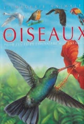 L'imagerie animale : Les Oiseaux