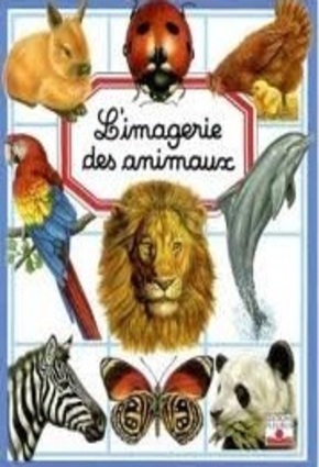 L'imagerie des animaux