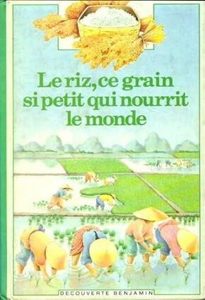 Le Riz, ce grain si petit qui nourrit le monde
