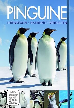 Pinguine - Boxset mit DVD: Lebensraum - Nahrung - Verhalten