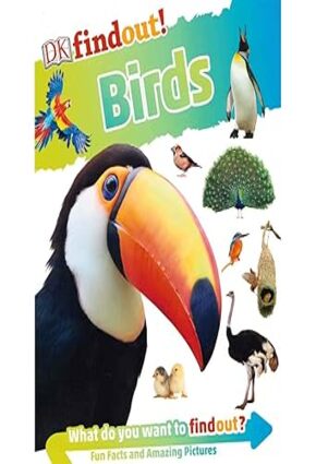 Birds - DK findout