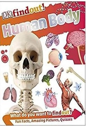 Human Body - Dk Findout