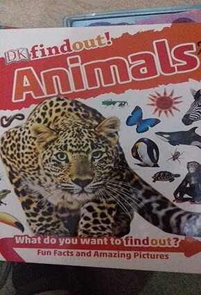 Animals Find Out